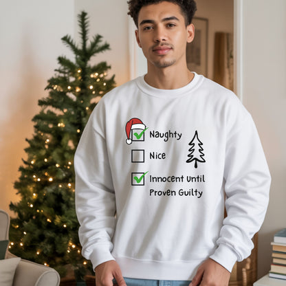 Funny Christmas Sweatshirt, Naughty & Nice Checkboxes Sweat,  Sarcastic Xmas Top, Humorous Naughty List Sweatshirt