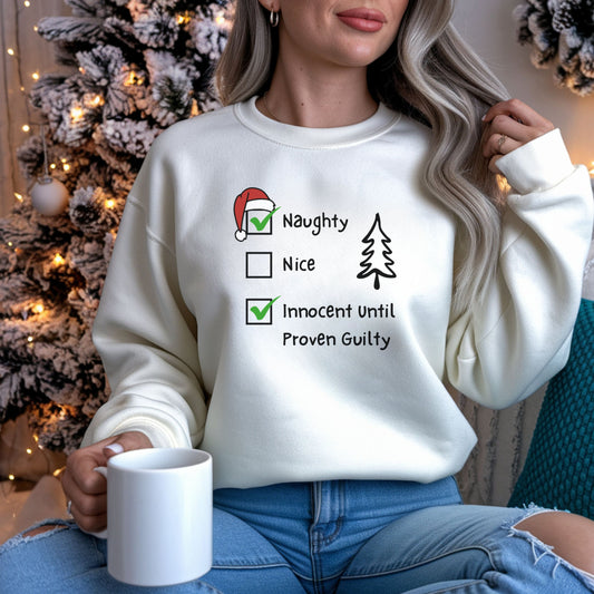 Funny Christmas Sweatshirt, Naughty & Nice Checkboxes Sweat,  Sarcastic Xmas Top, Humorous Naughty List Sweatshirt