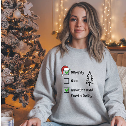 Funny Christmas Sweatshirt, Naughty & Nice Checkboxes Sweat,  Sarcastic Xmas Top, Humorous Naughty List Sweatshirt
