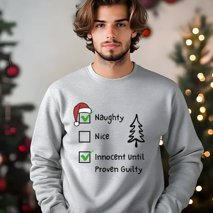 Funny Christmas Sweatshirt, Naughty & Nice Checkboxes Sweat,  Sarcastic Xmas Top, Humorous Naughty List Sweatshirt